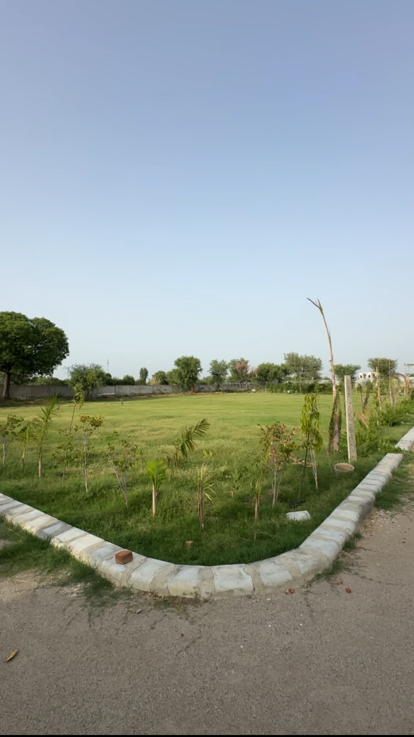 Luxury Garden
